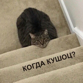 Логотип телеграм канала @cushai — Похудательный дневник | дневник похудения