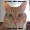Telegram channel милая грязь logo