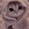 Логотип телеграм канала @cute_koti — Котья нора💕