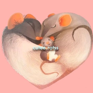 Логотип телеграм канала @cutee_ratss — cutee.ratss