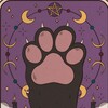 Логотип телеграм канала @cutycatss — котята и предсказания