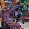 Логотип телеграм канала @cvetemipachnem — Цветущий дворик