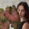 Логотип телеграм канала @cvetnikkkkkk — ЦветНИК