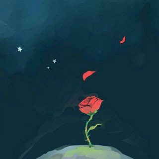 Логотип телеграм канала @cvetocek_17 — 𝓒𝓿𝓮𝓽𝓸𝓬𝓮𝓴🥀