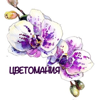 Логотип телеграм канала @cvetomaniyatashkent — Цветомания