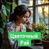 Логотип телеграм канала @cvetoray — Цветочный рай 🪴