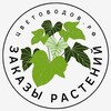 Логотип телеграм канала @cvetovodov_rf — Цветоводов.РФ: комнатные и садовые растения - продажа, организация заказов