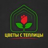 Логотип телеграм канала @cvety_c_teplici56 — Цветы с Теплицы 56