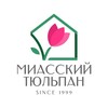 Логотип телеграм канала @cvety_miass — Миасский Тюльпан | Цветы Миасс | Доставка цветов в Миассе