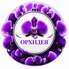 Логотип телеграм канала @cvety_neftekamsk — Цветы Нефтекамск | Орхидея