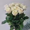 Логотип телеграм канала @cvetyvtyumeni — Аллея цветов & Алая Роза 🌹