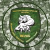 Логотип телеграм канала @cvgveles — Частная волонтёрская группа "ВЕЛЕС"