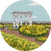 Логотип телеграм -каналу cvitambrozii — Цвіт Амброзії