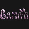 Логотип телеграм канала @cvnvva — CANAVA