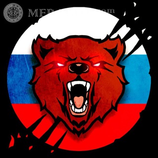 Логотип телеграм канала @cvo2022_5 — Очень Полезный Бот