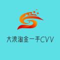 Logo saluran telegram cvvtaojin — 🔥大浪淘金🔥一手cvv库料🔥鱼料🔥劫持料🔥