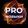 Логотип телеграм канала @cx_insights — Дмитрий Черемисин | PRO навыки