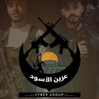 Logo of telegram channel cyberareen — عرين الأسود - المجموعة السيبرانية
