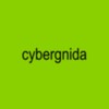 Логотип телеграм канала @cybergniiida — кибергнида