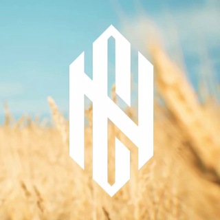 Логотип телеграм -каналу cybernation_team — CYBERNATION.TEAM | THREEDAYZ