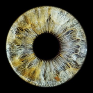 Логотип телеграм канала @d_koroboff — Дмитрий Коробов