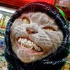 Логотип телеграм канала @d13_muzzvibes — ⚜MUZZVibezz⚜