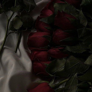Logo of telegram channel d4rkpay — dark payment 🥀