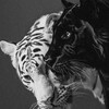 Логотип телеграм канала @d_dzhagievvv — 19