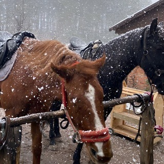 Logo of telegram channel da_eo — رغَبَة