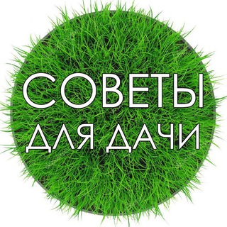 Логотип телеграм канала @da4a_sovet — Советы для дачи