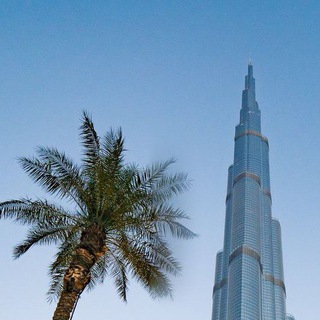 Логотип телеграм канала @dacha_invest — Дача в Дубае