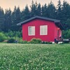 Логотип телеграм канала @dacha_na — Дача на Вишнёвой