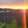 Логотип телеграм канала @dacha_vibes_log — Дневник дачных вайбов