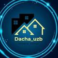 Logo saluran telegram dachaa — Dacha_uzb