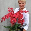 Логотип телеграм канала @dachasadik — Цветы Растения Огород