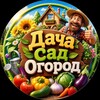 Логотип телеграм канала @dachasadogoro — Дача Сад Огород