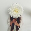 Логотип телеграм канала @dachatime — Dacha