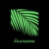 Telegram kanalining logotibi dachavillapalmmarine — дача Villa "Palm Marine"