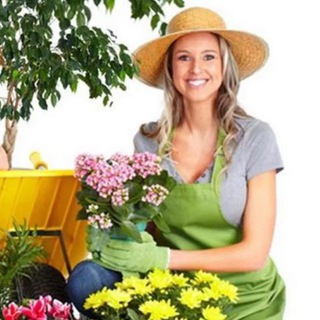 Логотип телеграм канала @dachnikipriangaria — Дачники Приангарья