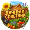 Логотип телеграм канала @dachny_sovet — Дачный советник | Сад и огород