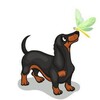 Логотип телеграм канала @dachpuppy — Питомник такс. Щенки таксы.