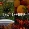 Логотип телеграм канала @dacniivaib — ДАЧНЫЙ ВАЙБ🥗