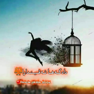 لوگوی کانال تلگرام dadgaha_avindara — دادگــەهــا ئــەڤــیــنــدارا⚖️