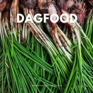 Логотип телеграм канала @dagfoodinfo — DAGFOOD