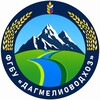 Логотип телеграм канала @dagmelio — ДАГМЕЛИОВОДХОЗ