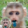 टेलीग्राम चैनल का लोगो daiiyshit — Daily Shit