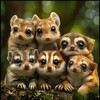 Логотип телеграм канала @dailyanimallaughs — Эти забавные животные