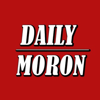 Логотип телеграм канала @dailymoron — Daily Moron