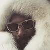 Логотип телеграм канала @daiteartikul — Дайте АРТИКУЛ