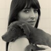 Telegram channel Dakota Johnson | Дакота Джонсон logo